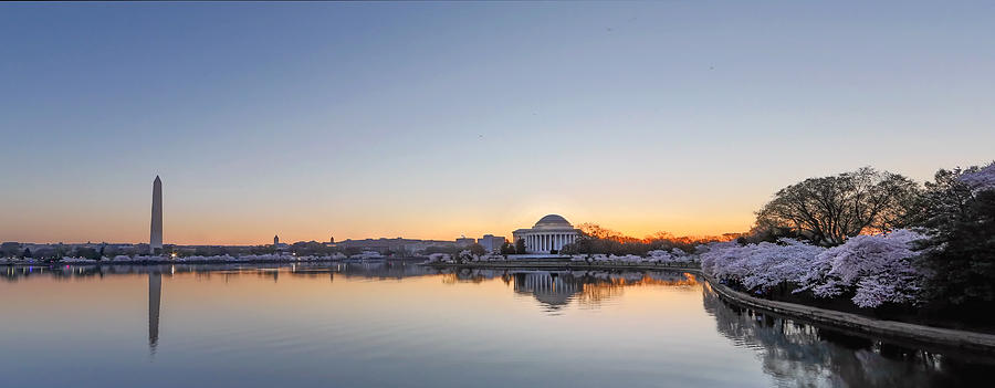 Tidal basin in DC during cherry blossoms Photograph by Jack Nevitt