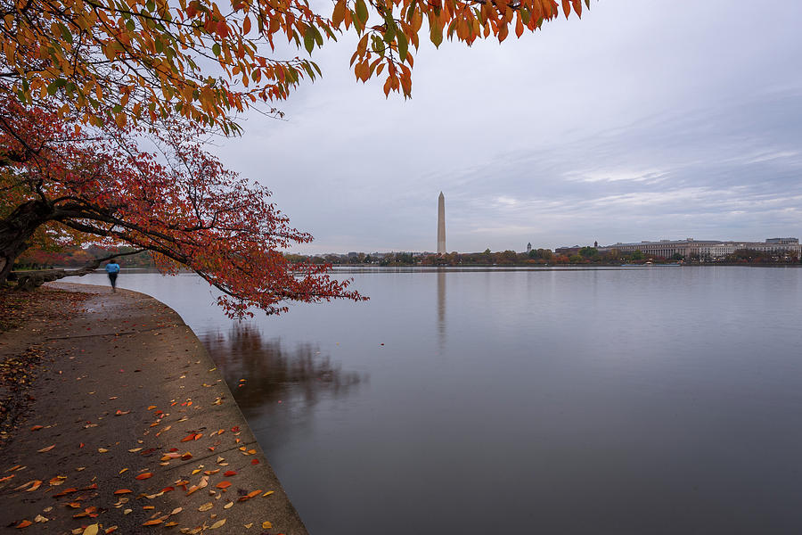 Tidal Basin in Fall Photograph by Michael Donahue