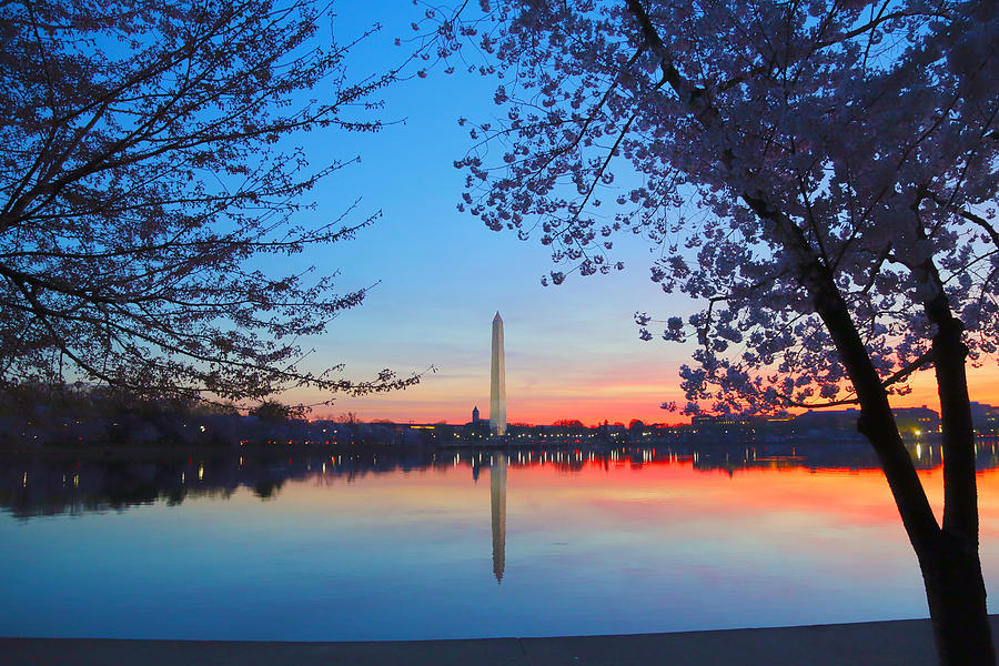 Tidal Basin Photograph by Mitch Cat