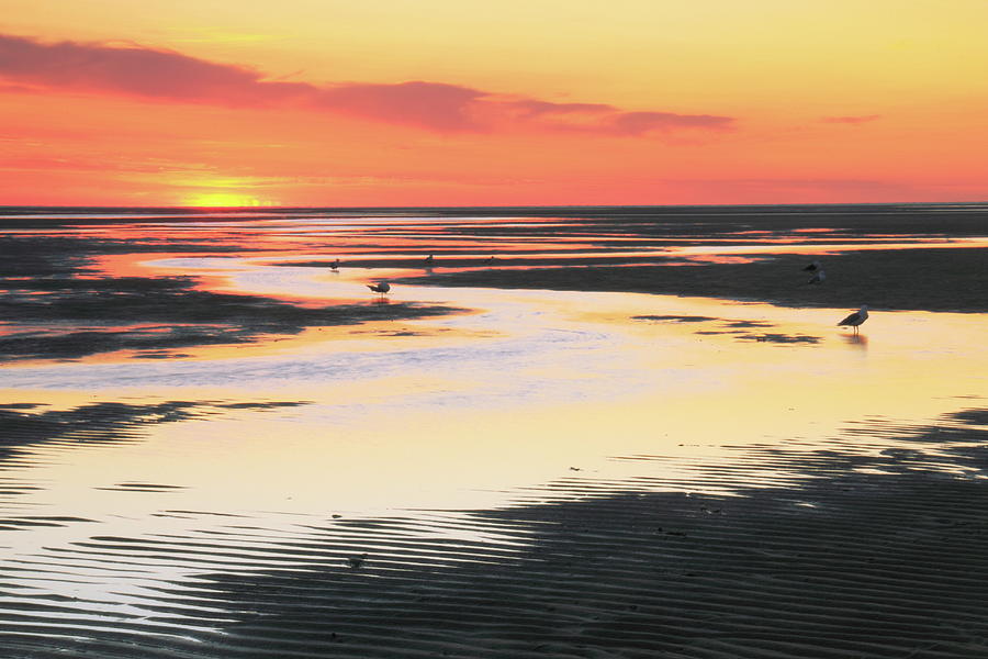 Sunset Photograph - Tidal Flats at sunset by Roupen Baker