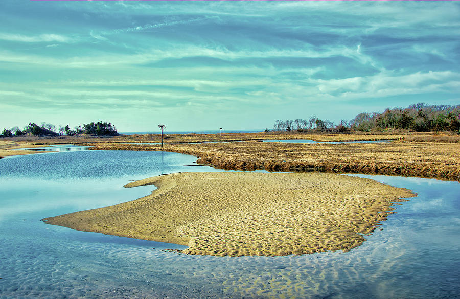 Tidal Island In The Wetlands Photograph by Gary Slawsky