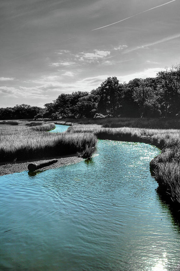 Tidal Marsh Photograph by DCat Images