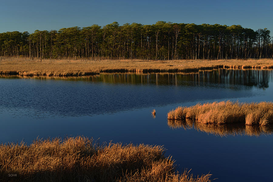 Tidal Marsh - Maryland Eastern Shore Photograph by Dana Sohr