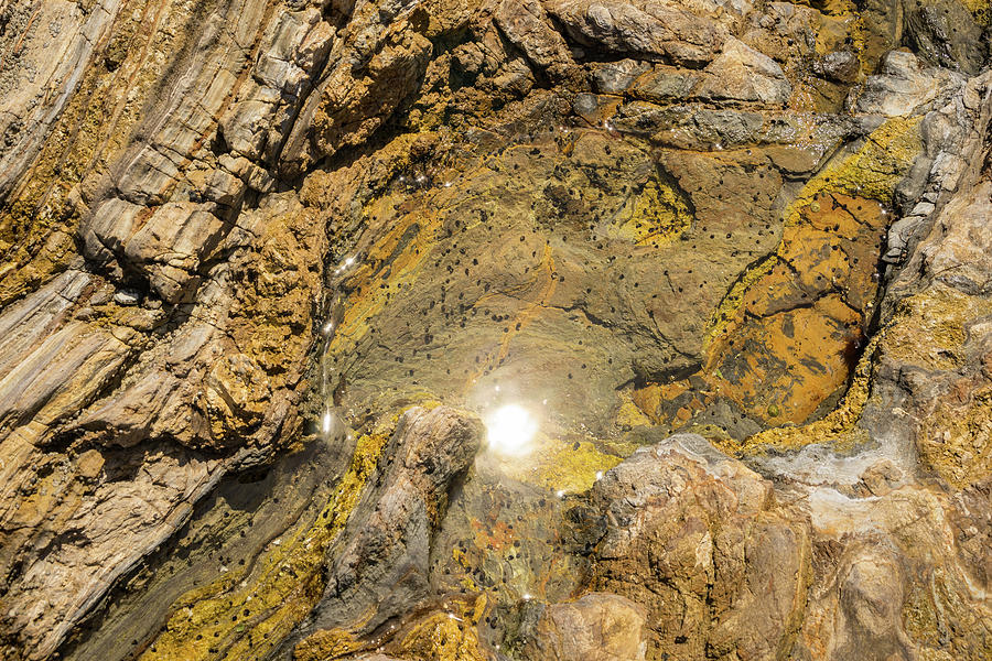 Tidal Pool in Golden Earthtones Photograph by Georgia Mizuleva