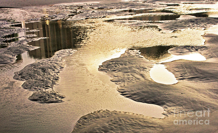 Tidal Puddles Photograph by Lydia Holly