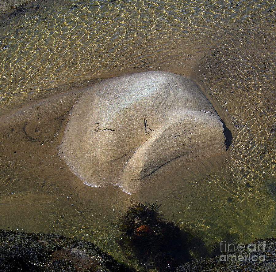 Tidal Sculpting Photograph by Skip Willits