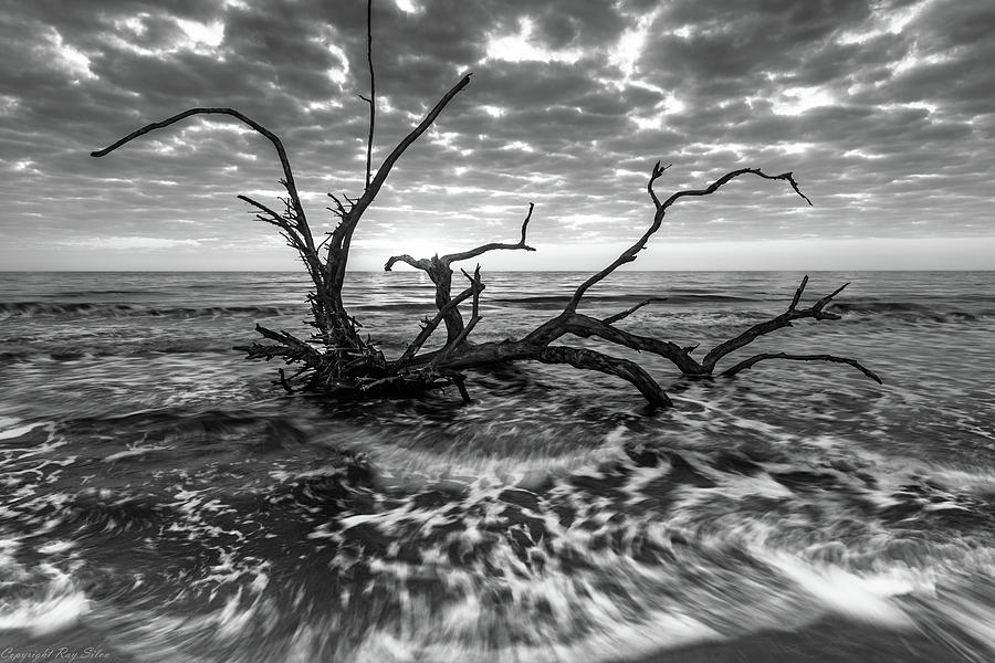 Tidal Surge Photograph by Ray Silva