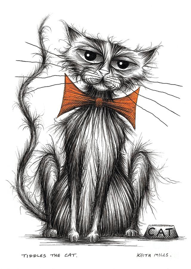 Tiddles the cat Drawing by Keith Mills