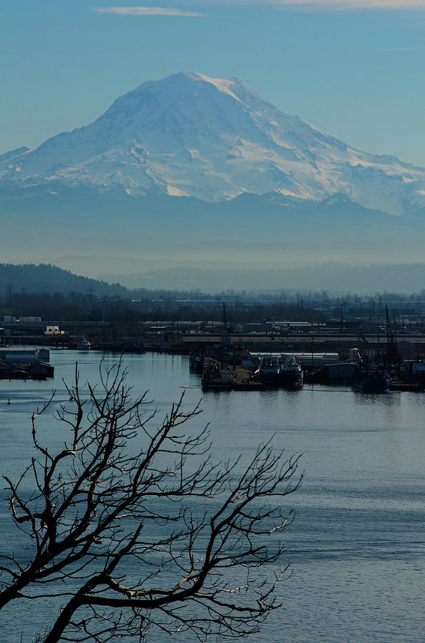 Tide Flatts View of Magestic Mount Rainier Photograph by Tikvahs Hope