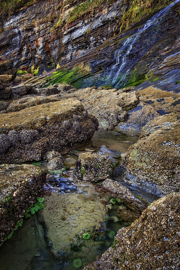 Tide Pool and Waterfall Photograph by Diana Powell