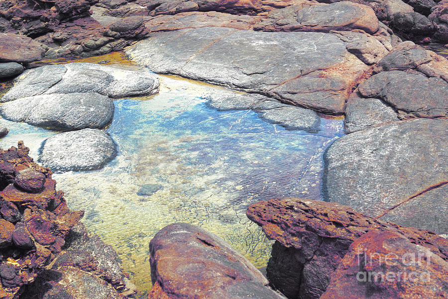 Tide Pool Photograph by Cassandra Buckley