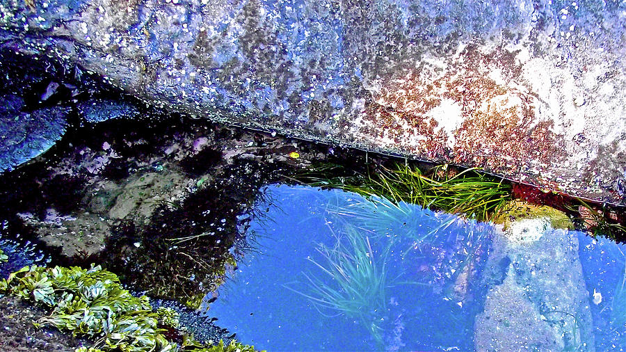 Tide Pool in the Sun in Salt Creek Recreation Area on Olympic Peninsula, Washington Photograph by Ruth Hager