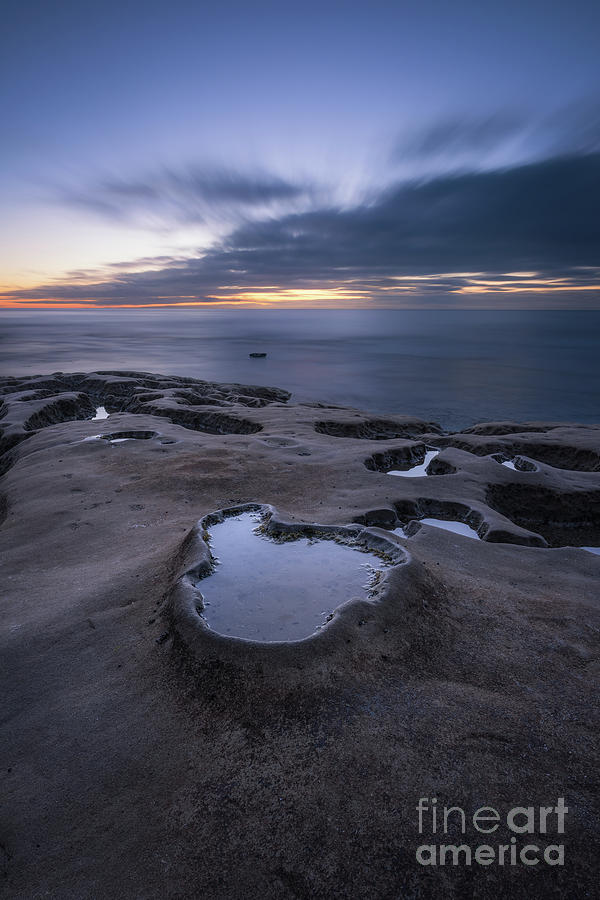 Tide Pool  Photograph by Michael Ver Sprill