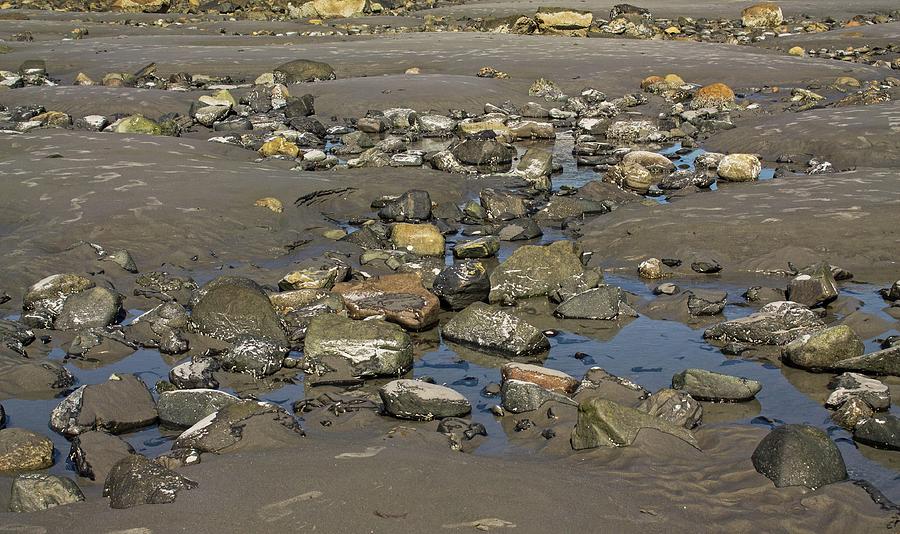 Tide Pool on Long Sands Beach Maine 6 Photograph by Michael Saunders ...