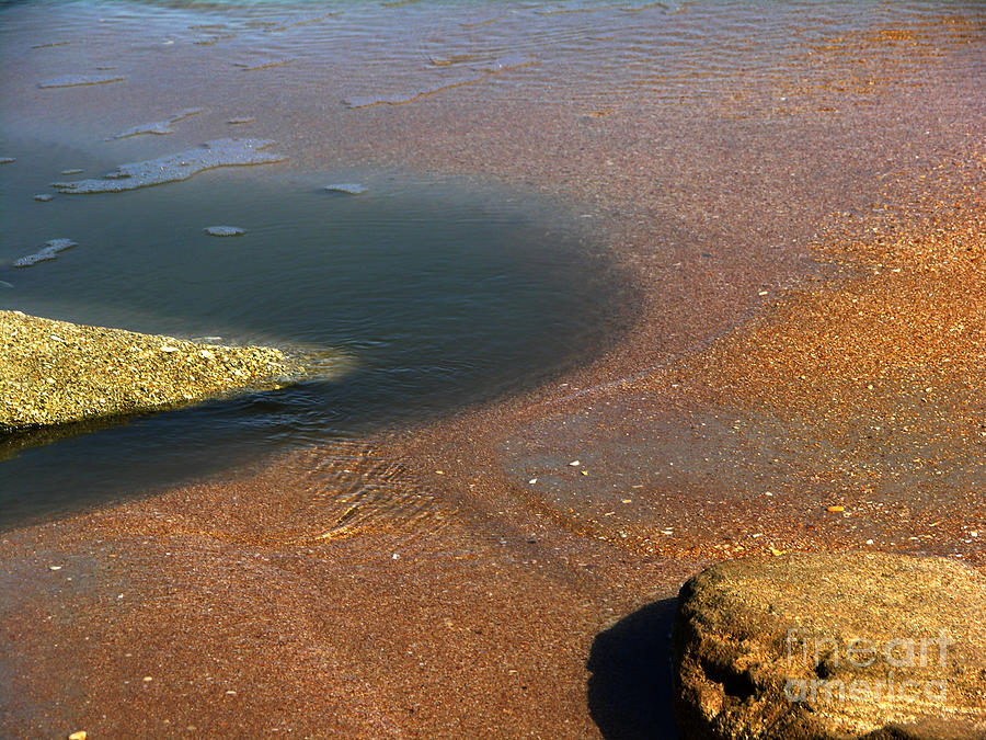 Tide pool with coquina rock Photograph by Julianne Felton