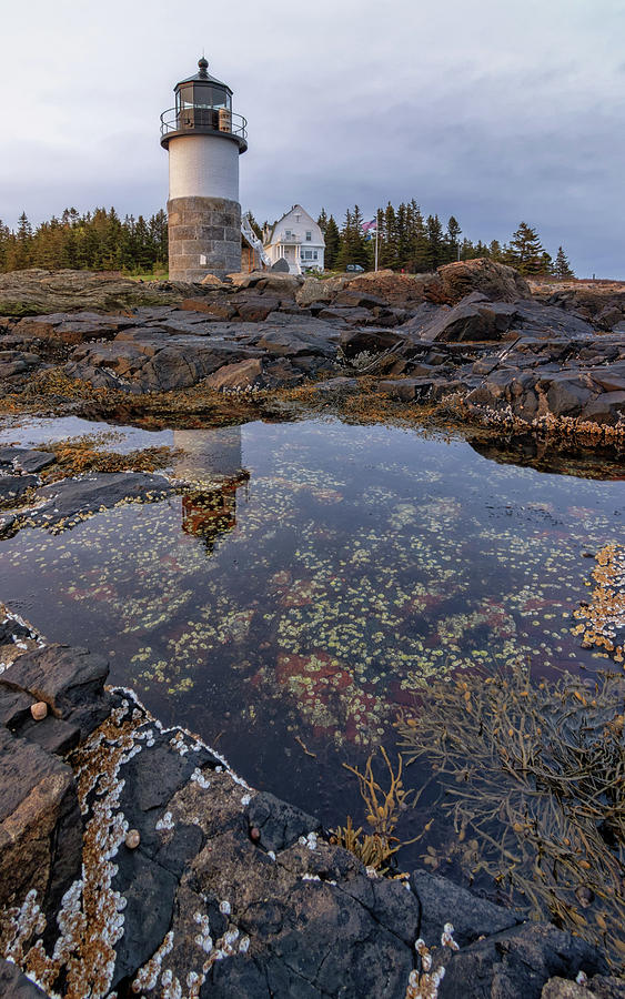Tide Pools at Marshall Point Lighthouse Photograph by Kristen Wilkinson