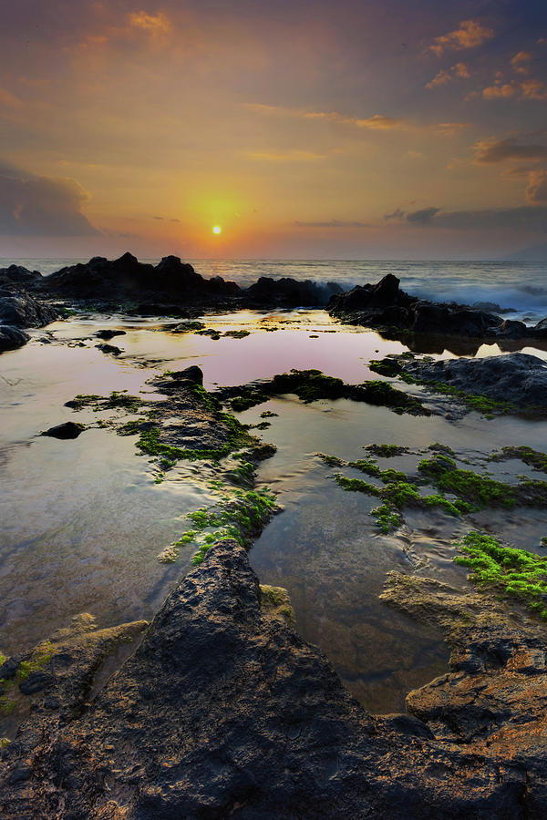Tide Pools Photograph by James Roemmling