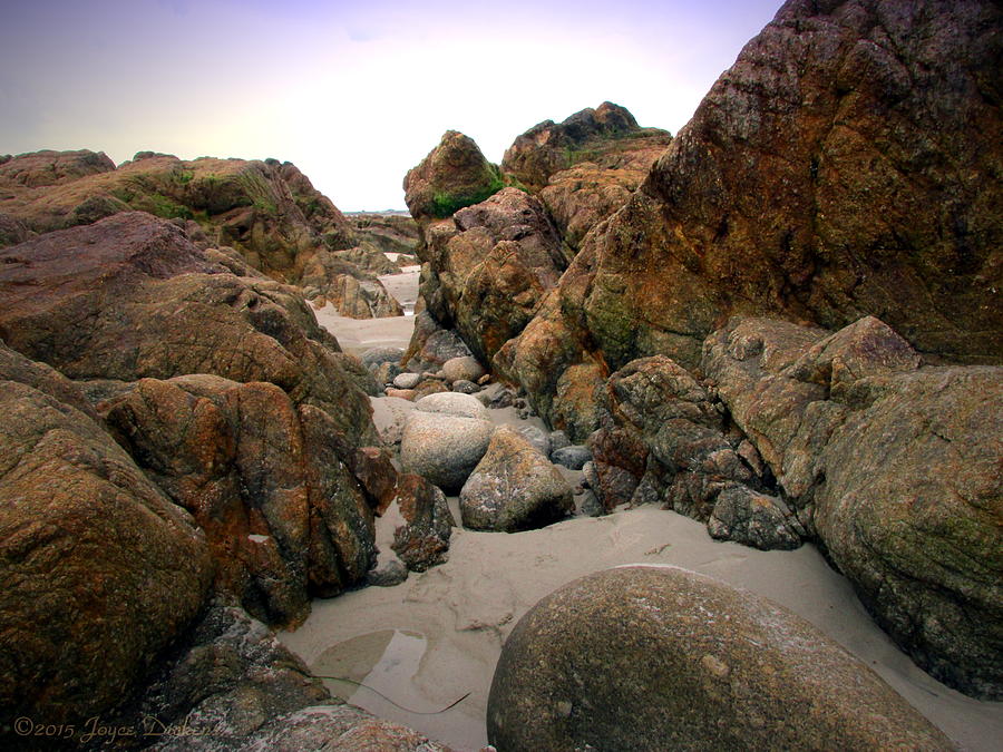 Tide Pools Of Monterey Bay Photograph by Joyce Dickens | Fine Art America