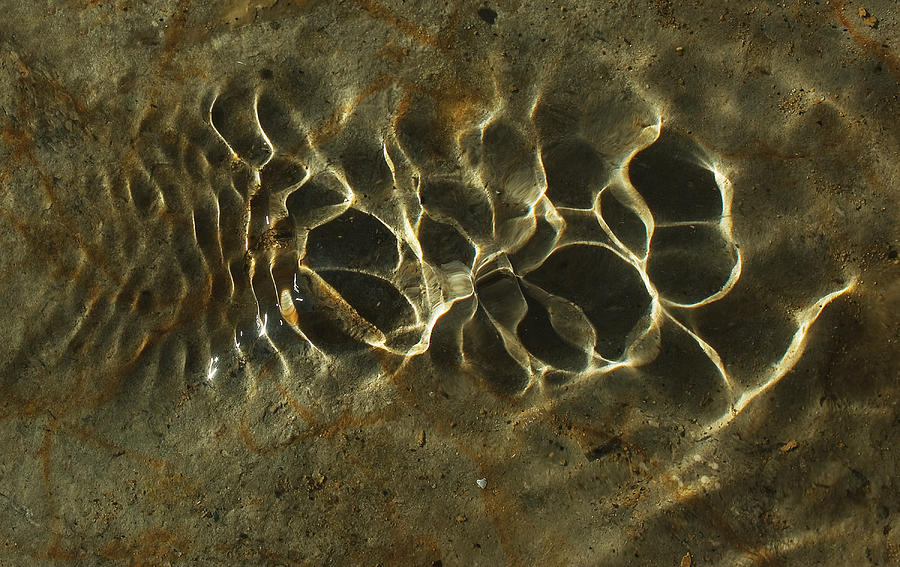Tide ripple Photograph by Steve Somerville
