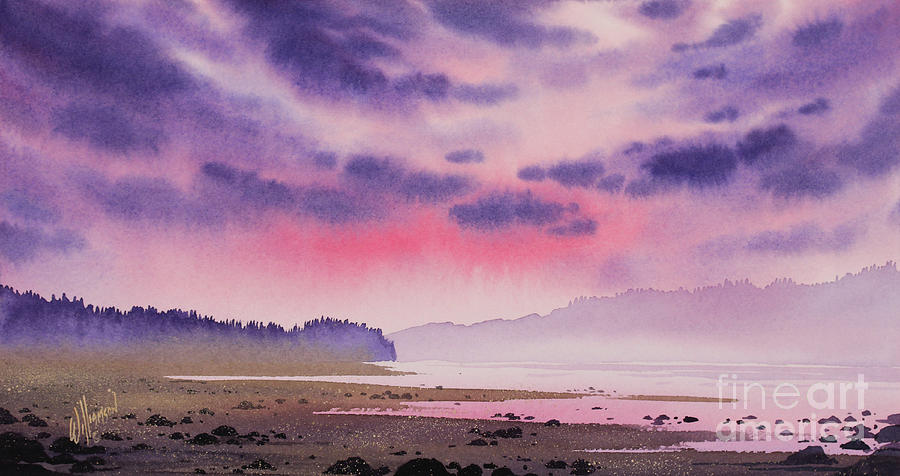 Tideflats Sunset Painting by James Williamson