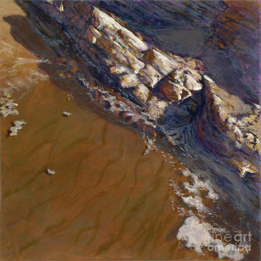 Tidepool - Gaviota by Betsee Talavera Tidepool - Gaviota by Betsee Talavera
