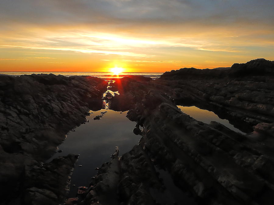 Tidepools Photograph by Paul Foutz