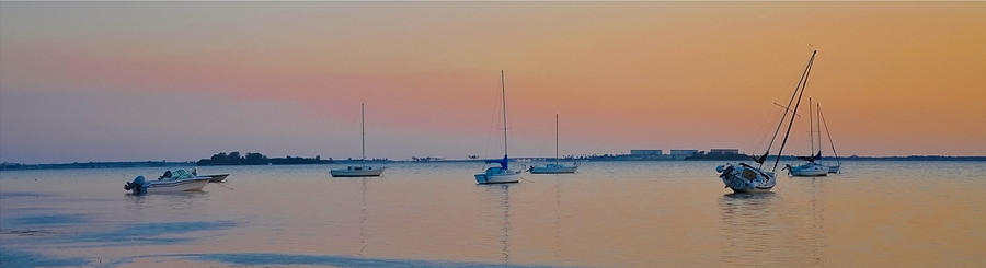Tides Out on St Josephs Sound - Florida Photograph by Bill Cannon