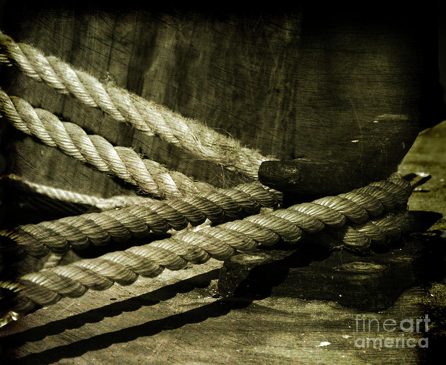 Rope Photograph - Tied down for good by Susanne Van Hulst