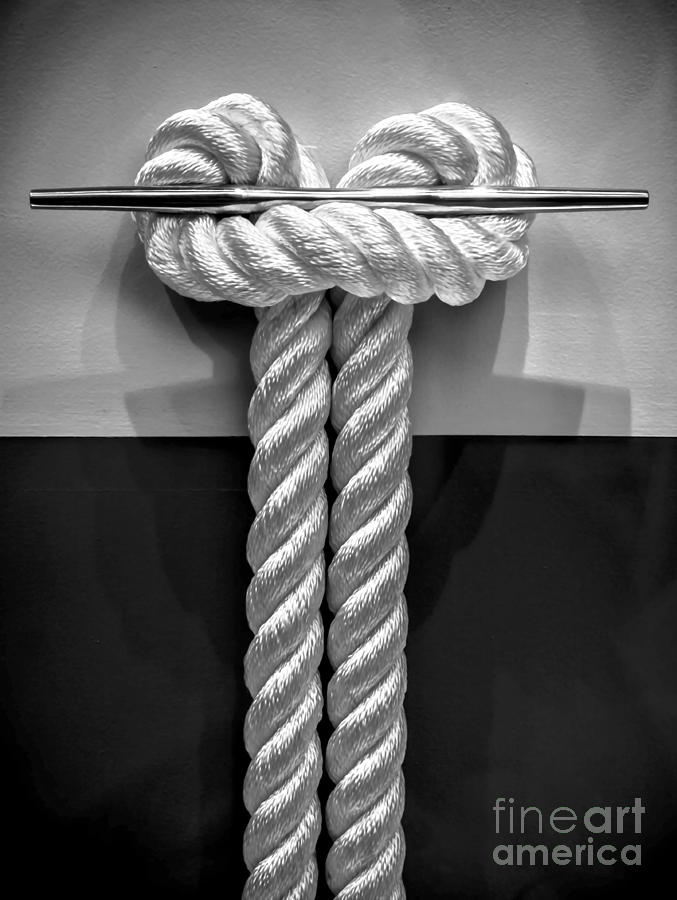 Tied Up In Knots - BW Photograph by James Aiken