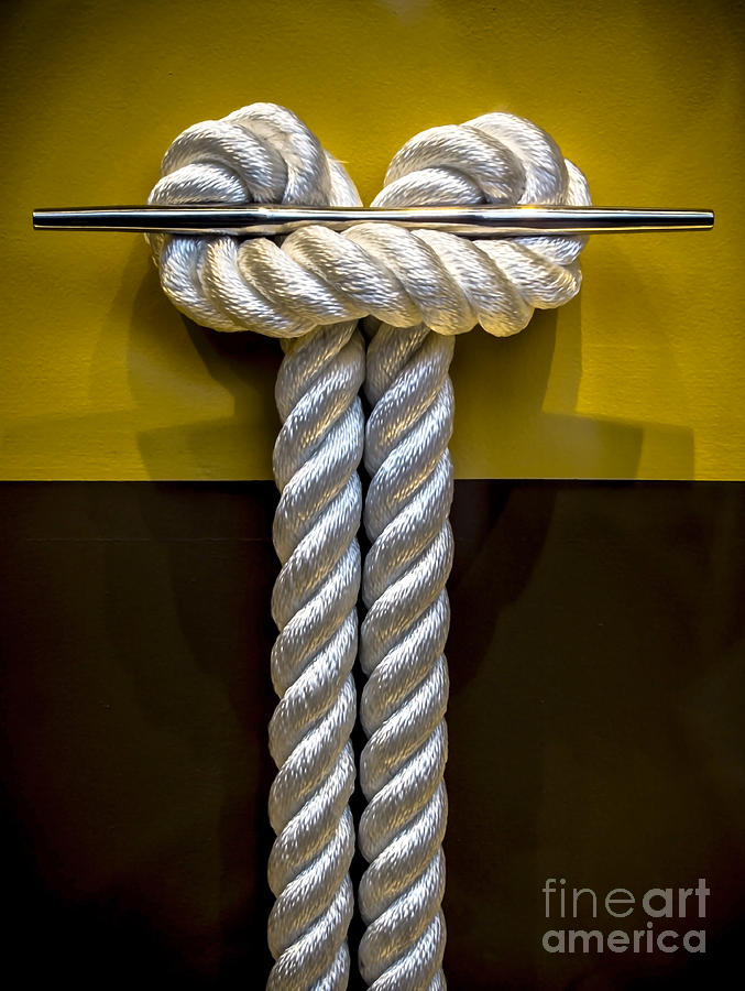Tied Up In Knots Photograph by James Aiken