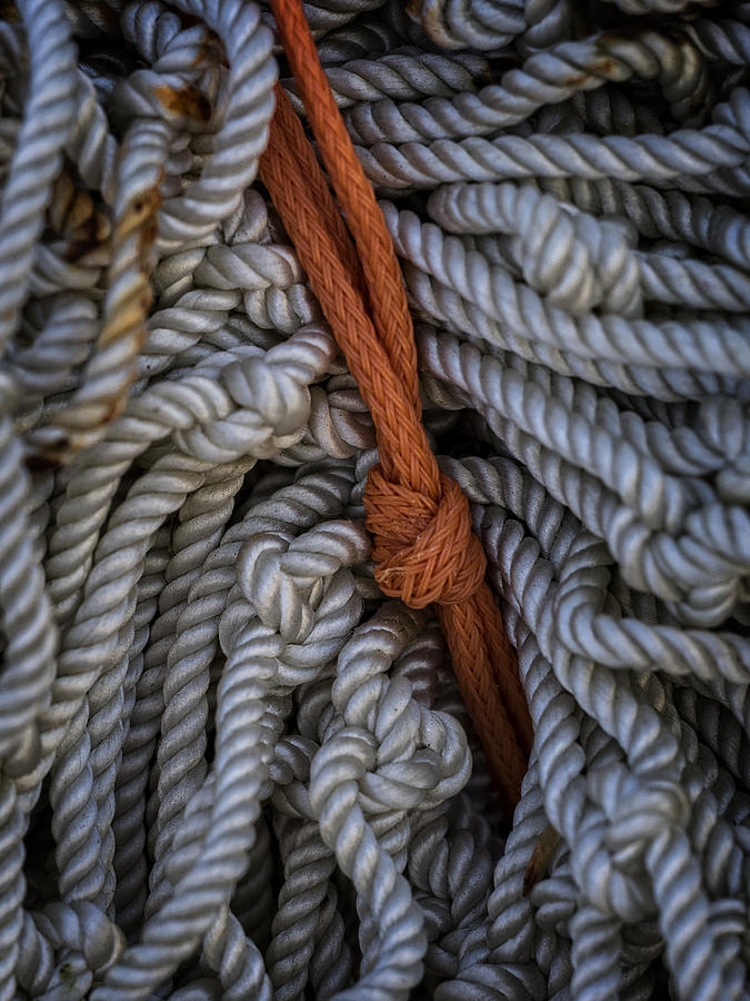 Ties That Bind Photograph by David Kay