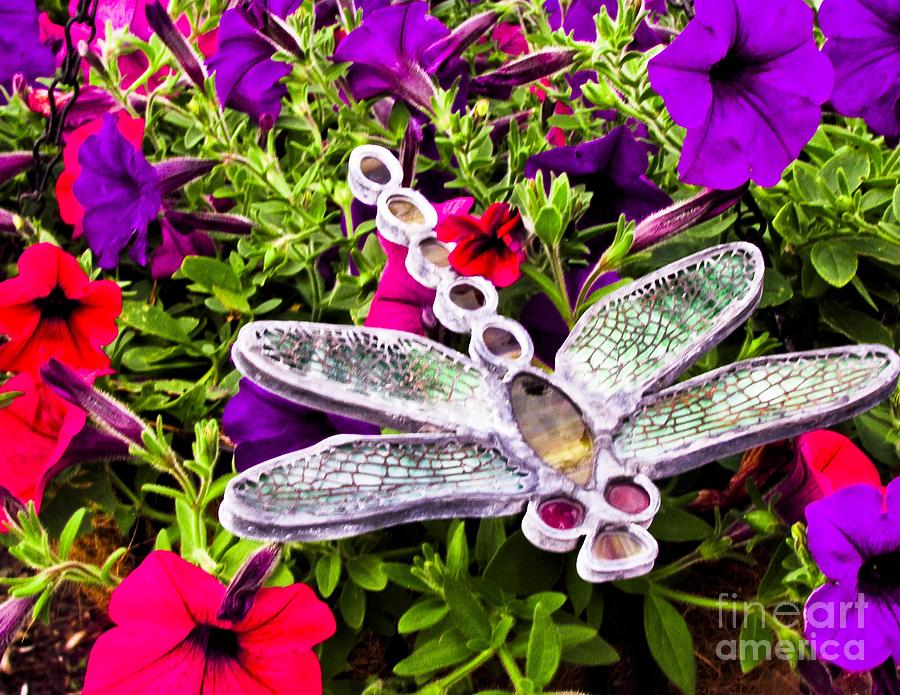 Tiffany - Dragon Fly IIi Photograph