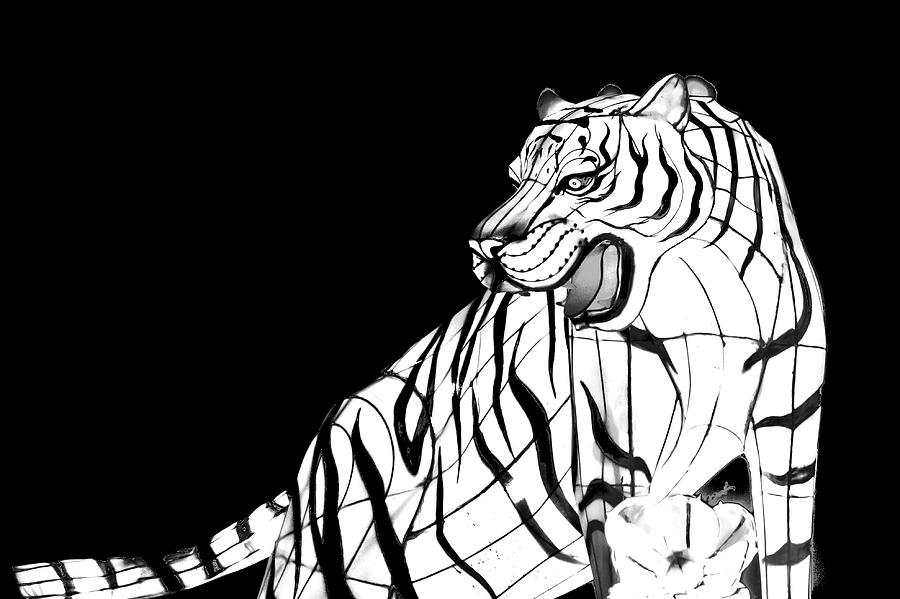 Tiger 2 Digital Art by David Stasiak