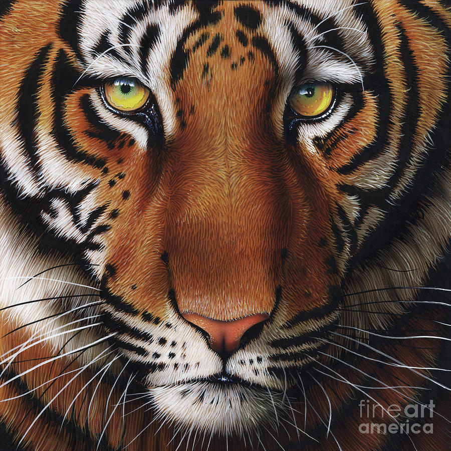 Tiger 2 Painting by Jurek Zamoyski