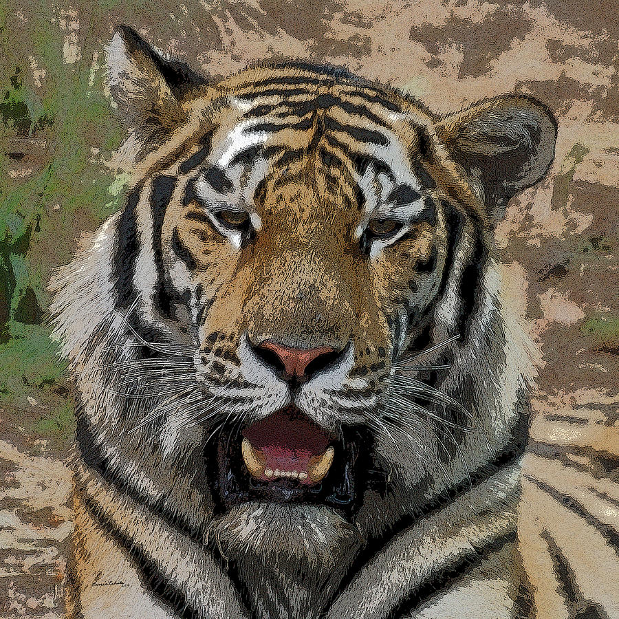 Tiger Abstract Photograph by Ernie Echols - Fine Art America