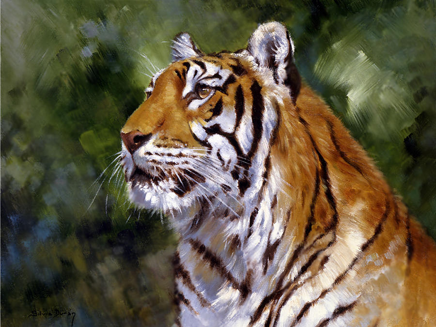 Wildlife Painting - Tiger Alert by Silvia  Duran