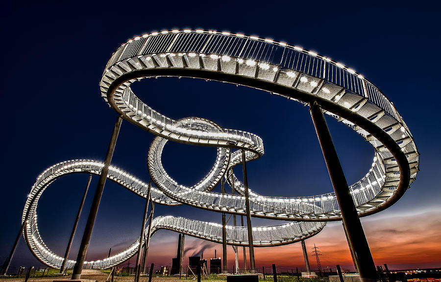 Tiger And Turtle At Dawn Photograph by Holger Schmidtke