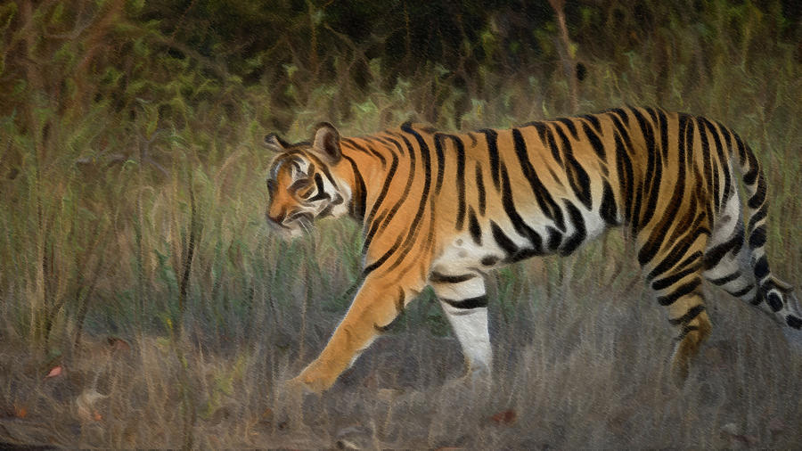 Tiger Art Design Digital Art by Tiger - Fine Art America