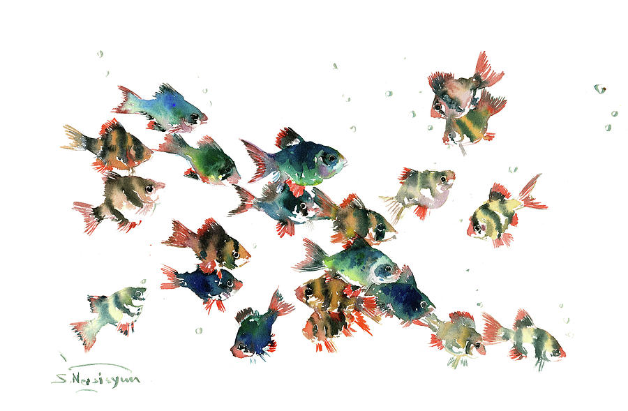 Tiger Barb Fish Painting by Suren Nersisyan