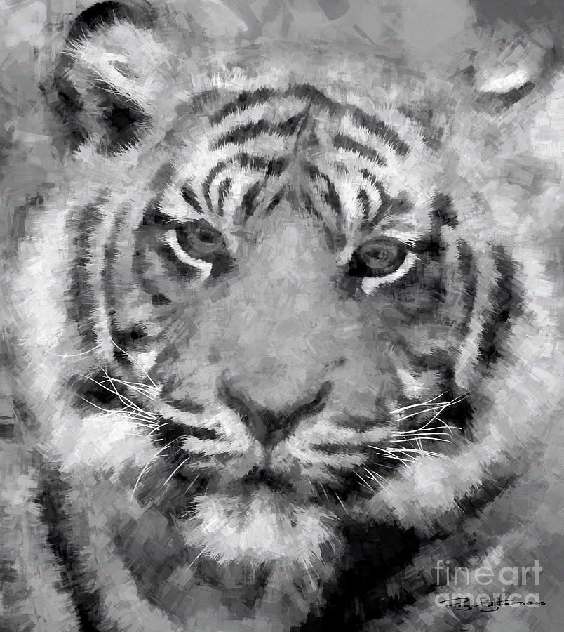 Tiger Black and White Digital Art by Roger Lighterness