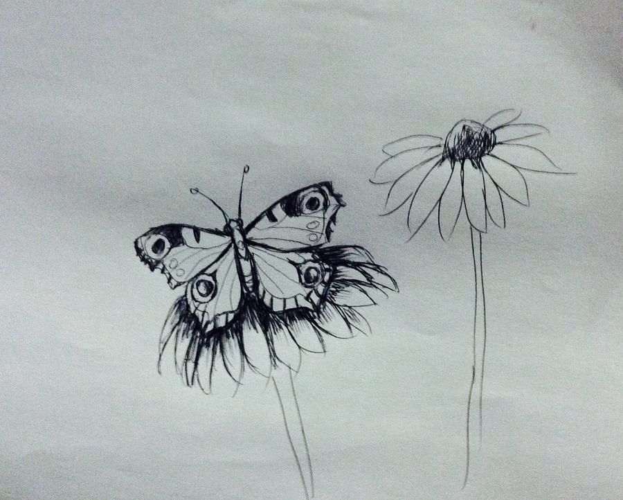 Tiger butterfly  Drawing by Hae Kim