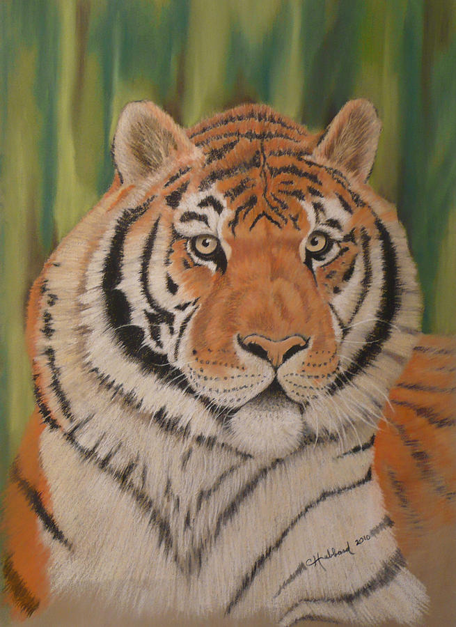 Tiger Painting by Charles Hubbard - Fine Art America