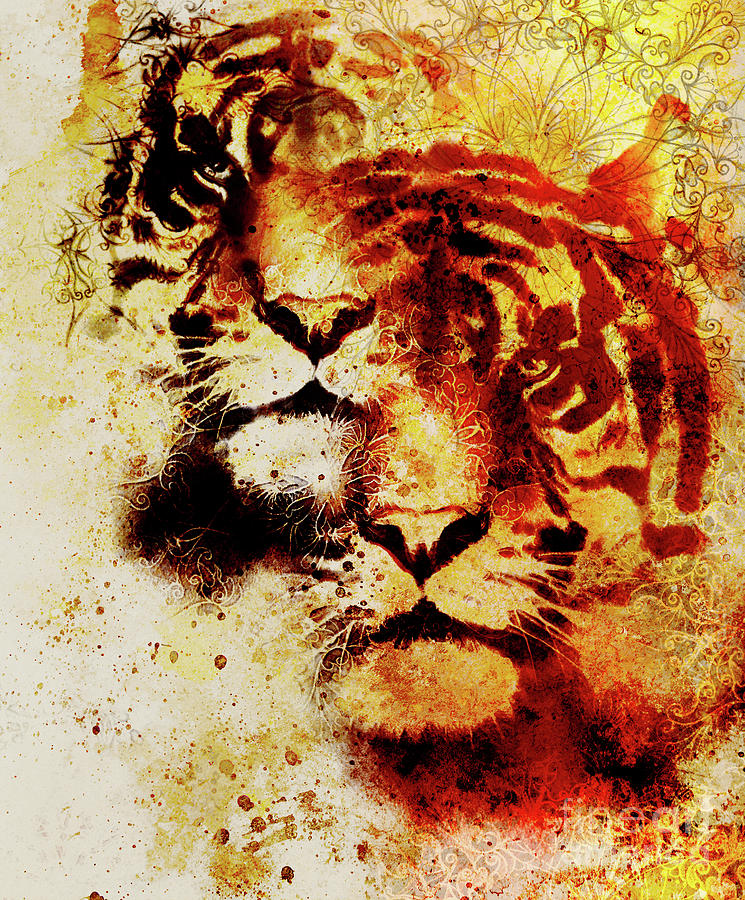 Tiger Collage On Color Abstract Background And Mandala With Ornament ...