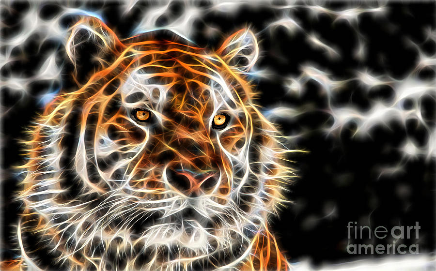 Wildlife Mixed Media - Tiger Collection by Marvin Blaine