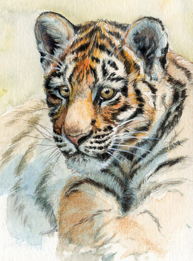 Tiger Cub portrait 865 Painting by Svetlana Ledneva-Schukina