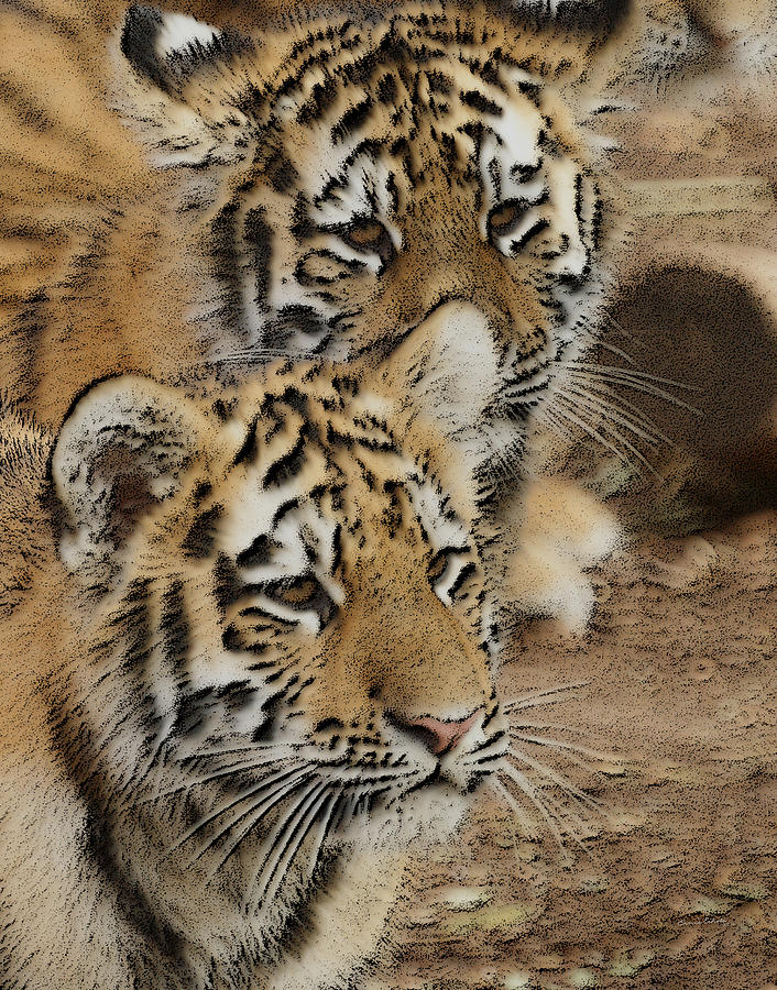Tiger Cubs Photograph by Ernest Echols