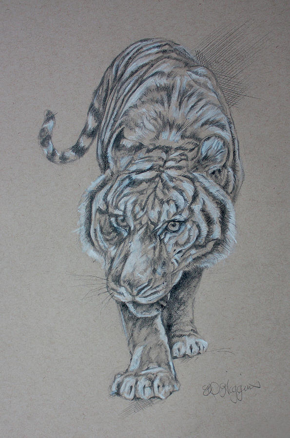 William Blake Drawing - Tiger by Derrick Higgins