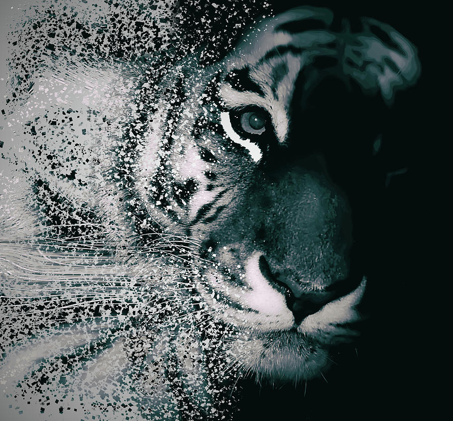 Abstract Photograph - Tiger Dispersion by Martin Newman