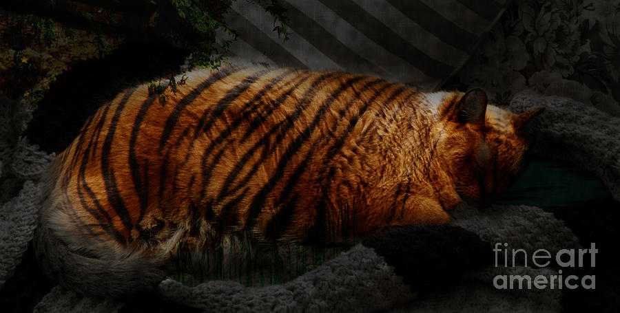 Tiger Dreams Digital Art by Kathi Shotwell