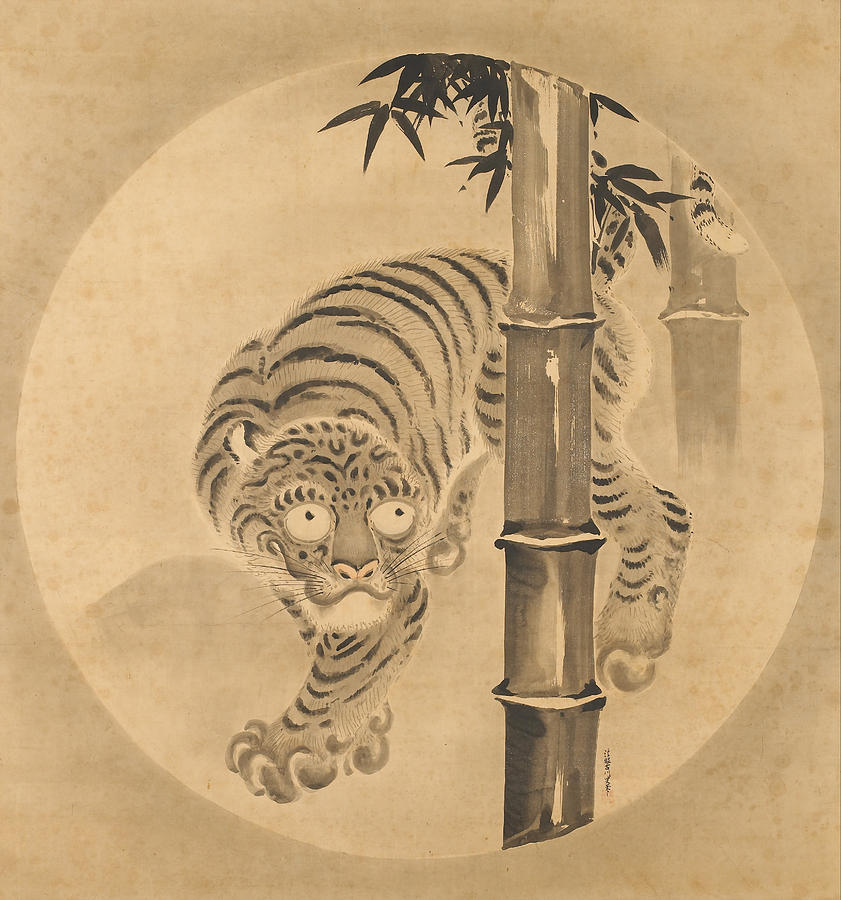 Tiger Emerging from Bamboo Drawing by Kano Tsunenobu